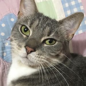 Meet your Posher, Terri